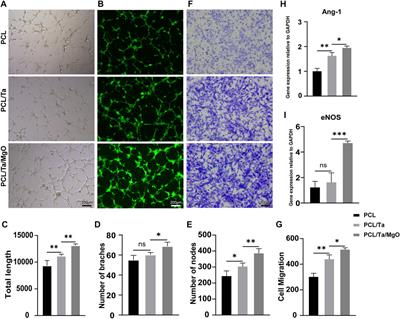 Tantalum and magnesium nanoparticles enhance the biomimetic properties and osteo-angiogenic effects of PCL membranes
